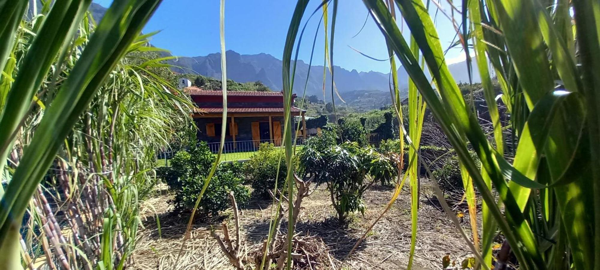 Refugio Do Limoeiro Villa São Vicente Eksteriør bilde