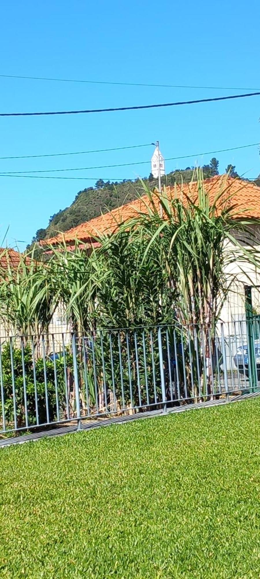 Refugio Do Limoeiro Villa São Vicente Eksteriør bilde
